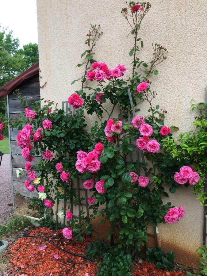 La Mimona Bed & Breakfast Sainte-Eulalie-en-Born Exterior photo