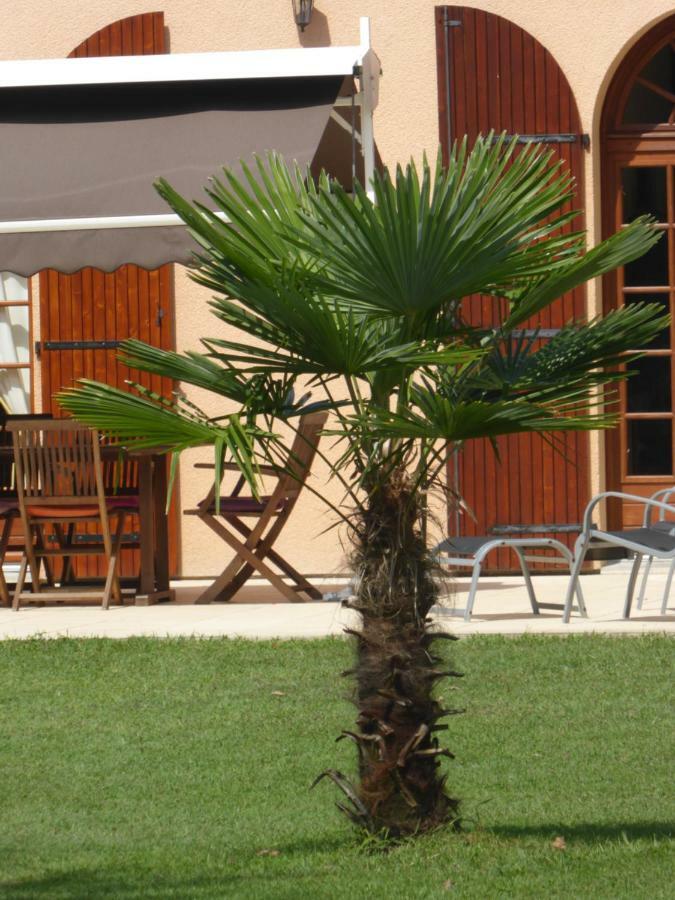 La Mimona Bed & Breakfast Sainte-Eulalie-en-Born Exterior photo